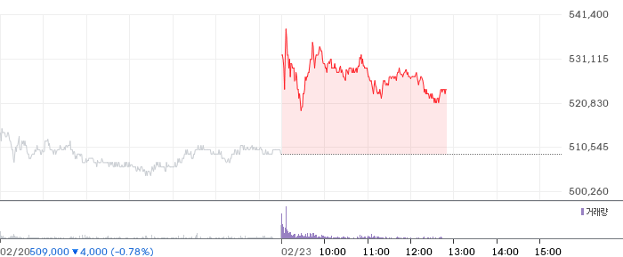 현대차 일봉 차트