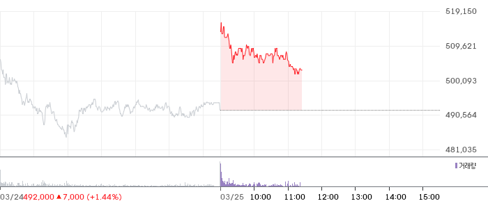 현대차 일봉 차트