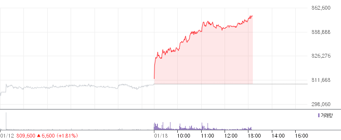 POSCO홀딩스 일봉 차트