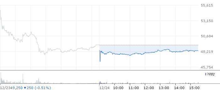 종목 시세 차트