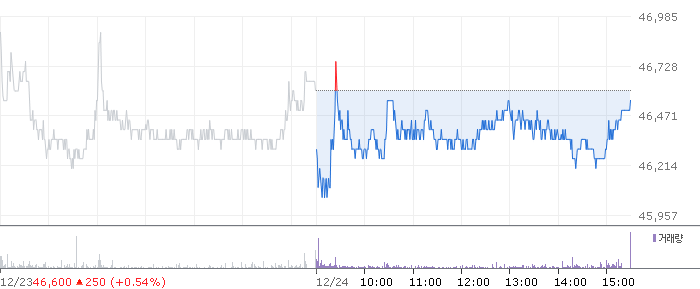 종목 시세 차트