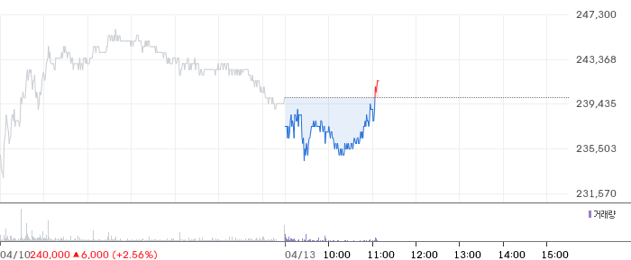 엔씨소프트 일봉 차트