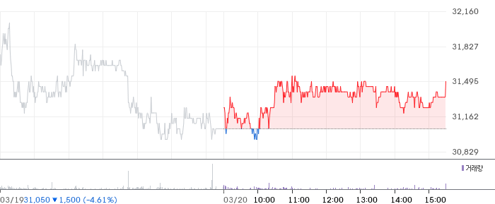 월덱스 일봉 차트
