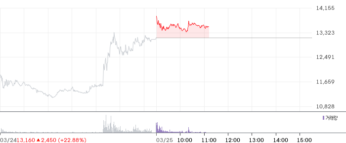 셀바스AI 일봉 차트