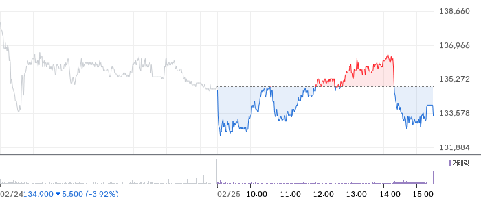 메리츠금융지주 일봉 차트