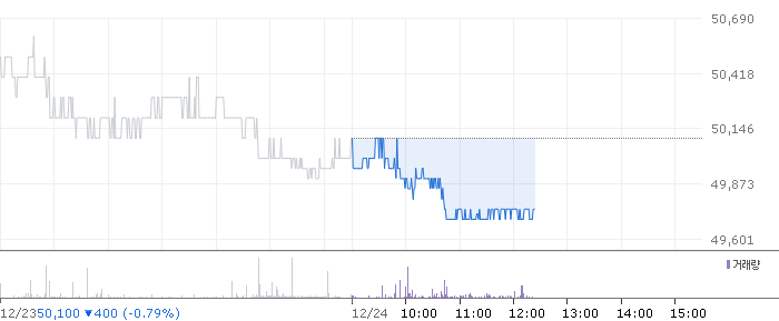 종목 시세 차트