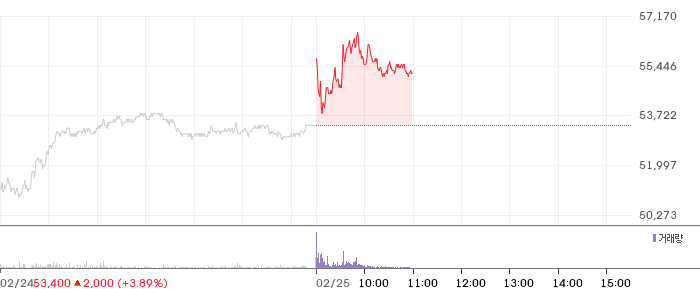 심텍 일봉 차트