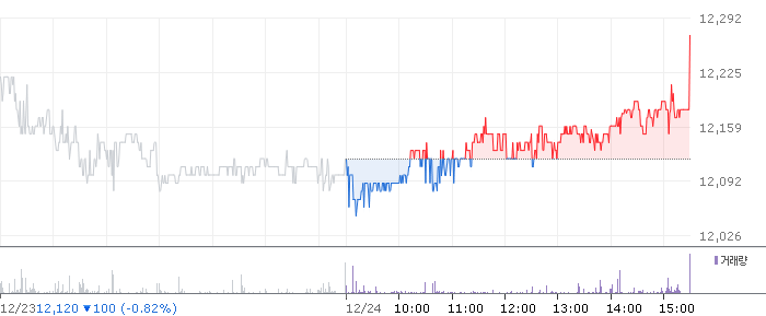 종목 시세 차트