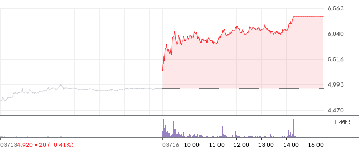 나무기술 일봉 차트