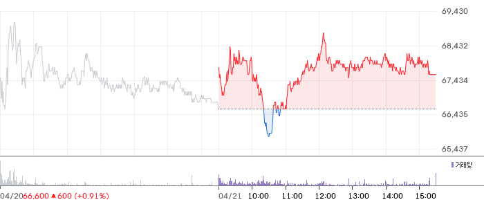 천보 일봉 차트