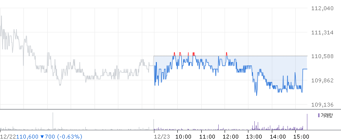 종목 시세 차트