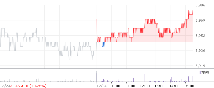 종목 시세 차트