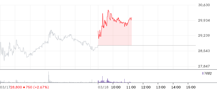 제노코 일봉 차트