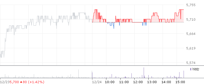 종목 시세 차트