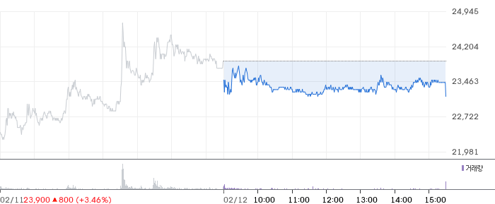 SK이터닉스 일봉 차트