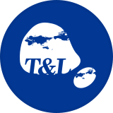티앤엘