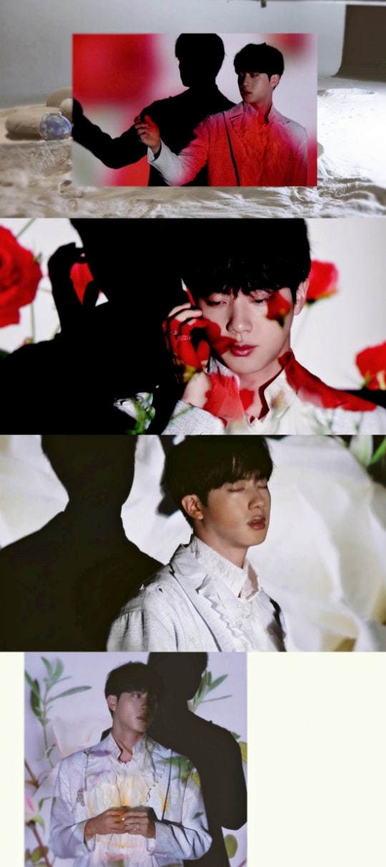 BTS Jin