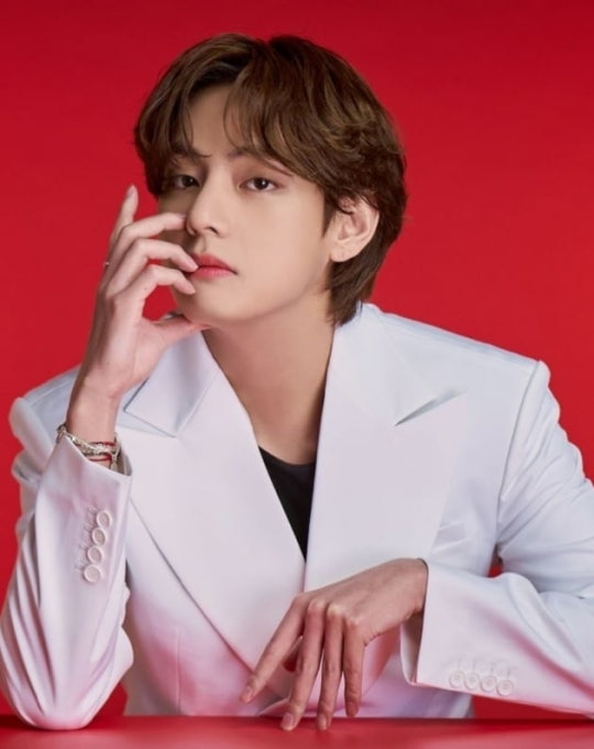 BTS V