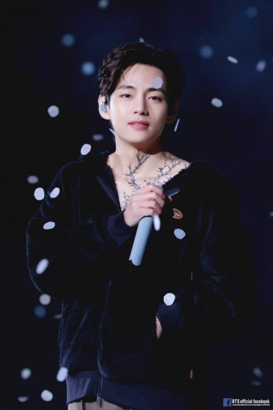 BTS V