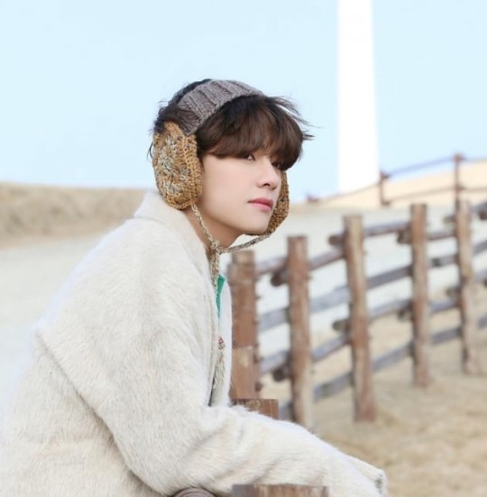 BTS V