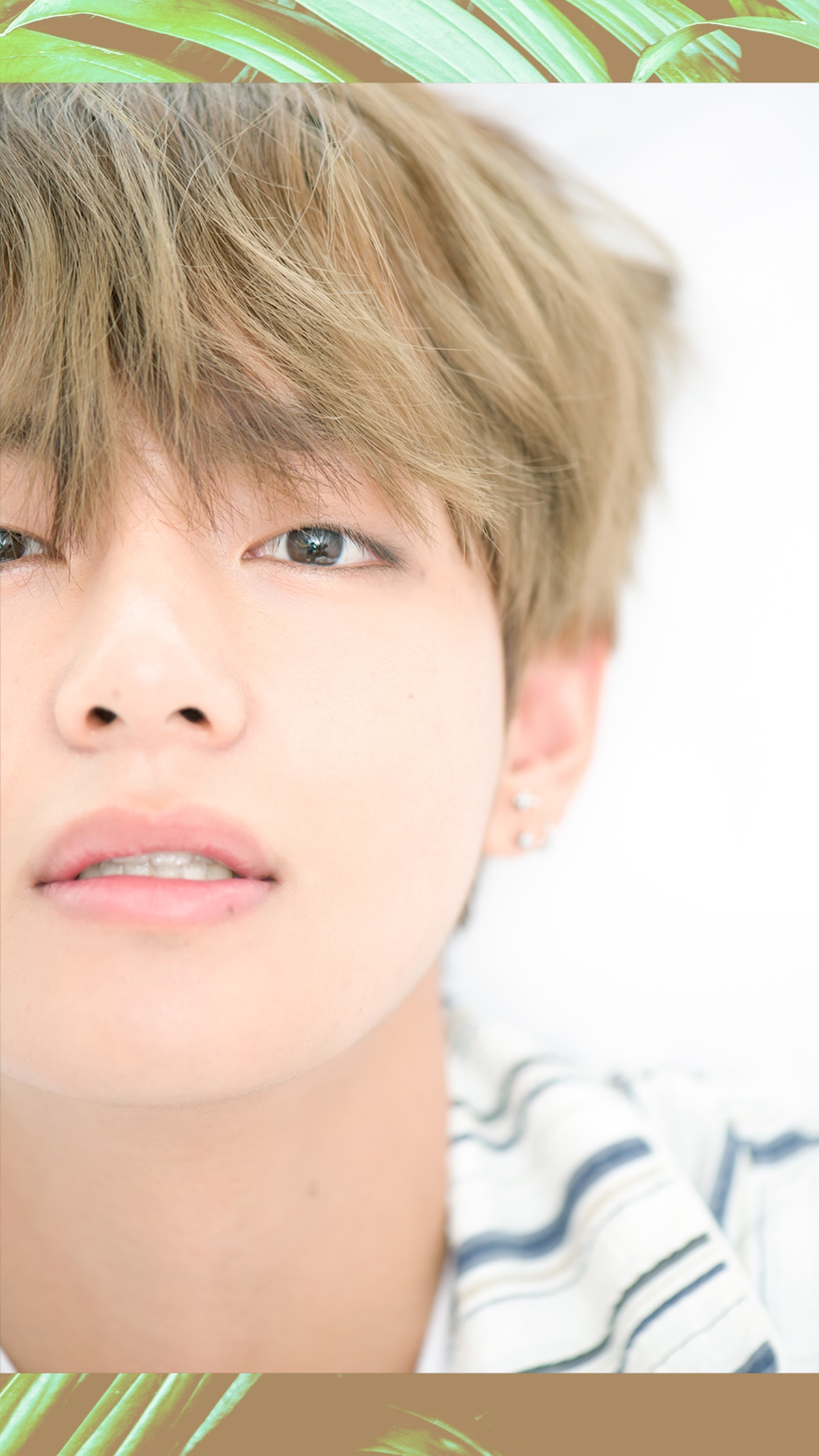 V BTS