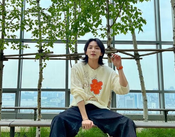 <b>세븐틴 정한</b>, 발목 <b>수술</b>로 활동 당분간 휴식