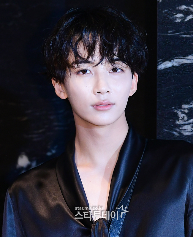 <b>세븐틴 정한</b>, 오늘 <b>발목</b> 수술…공식활동 빠진다