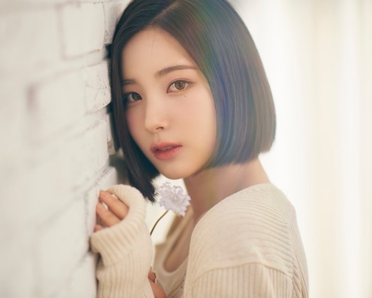 앨리스 <b>소희</b>, 15살 연상 사업가와 결혼→연예계 은퇴