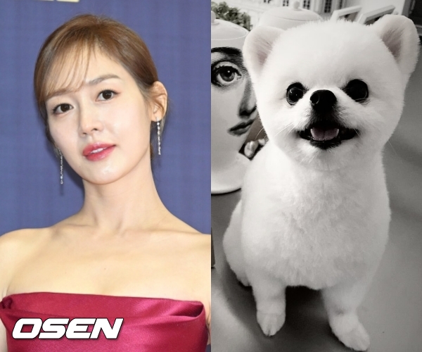 ‘쌍둥이딸맘’ <b>성유리</b>, 남편논란 속 <b>반려견</b>까지 잃었다 “엄마 딸로 와줘 고...
