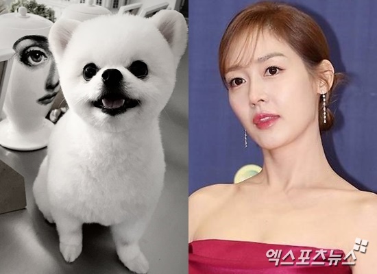 <b>성유리</b>, 남편 논란 속 무지개 다리 건넌 <b>반려견</b> "뭐가 그리 급해서…"
