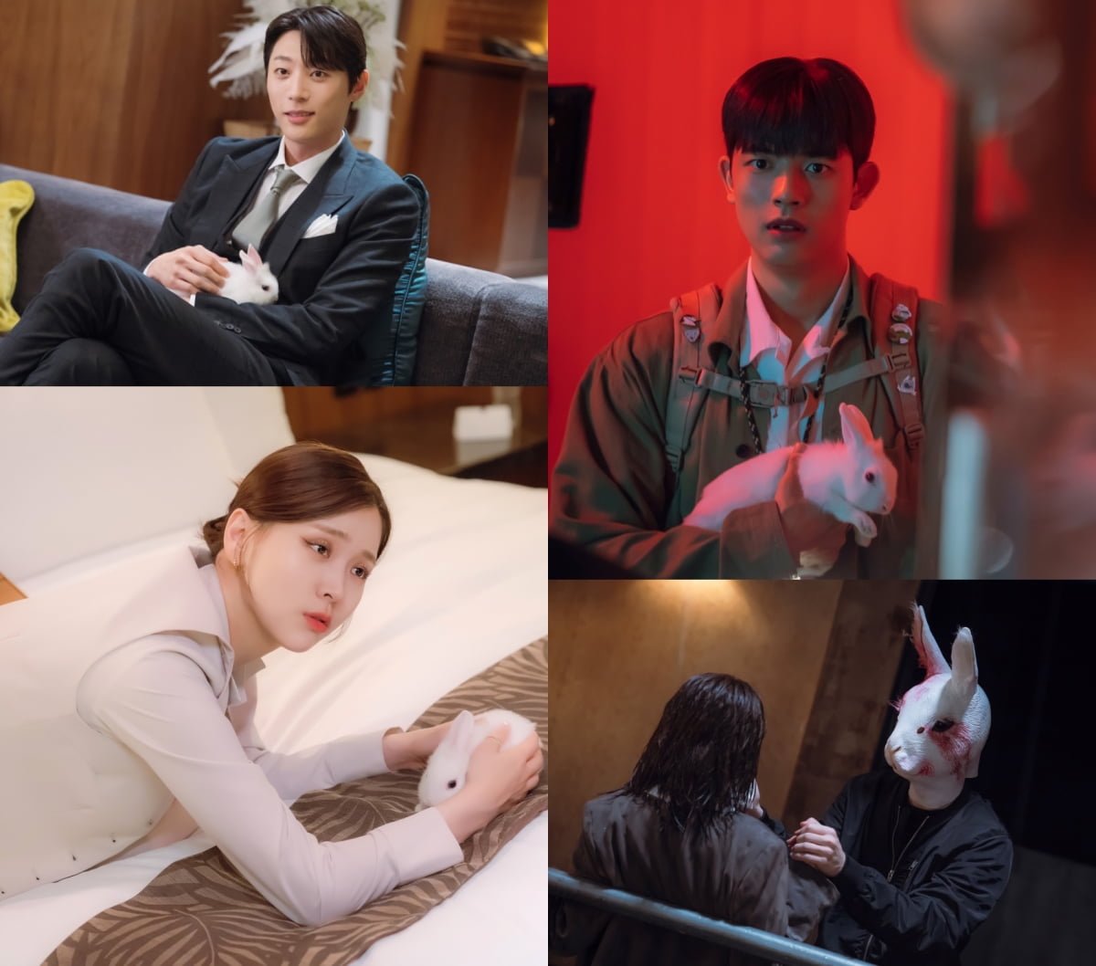 '<b>브랜딩인성수동</b>' <b>김지은</b>의 죽음 바라는 ‘Mr. 토끼’ 정체는
