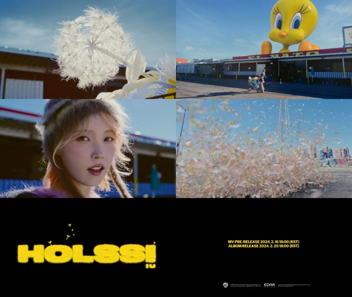 "걔는 <b>홀씨</b>가 됐다구" <b>아이유</b>, 닮은꼴 <b>트위티</b> 버드와 손잡았다