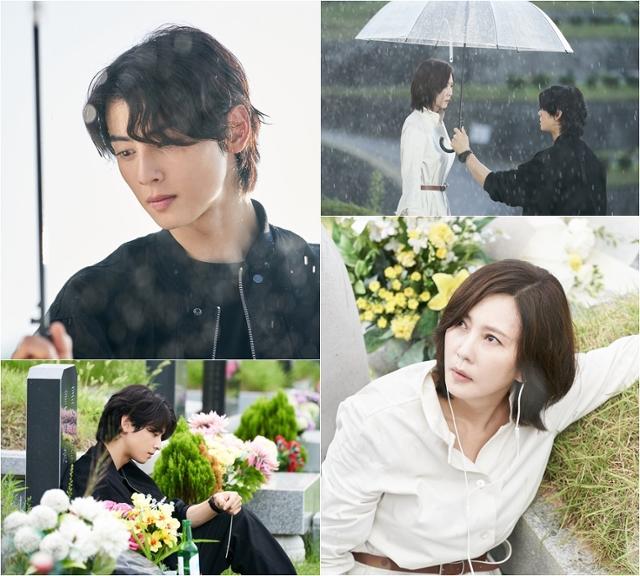 <b>차은우</b>, '<b>원더풀</b> 월드' 등장 예고…<b>김남주와</b> 케미 향한 기대감