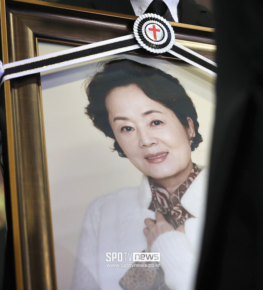 그리운 얼굴…故<b>김영애 7주기</b>, <b>췌장암</b>도 못 막은 열정의 배우[이슈S]
